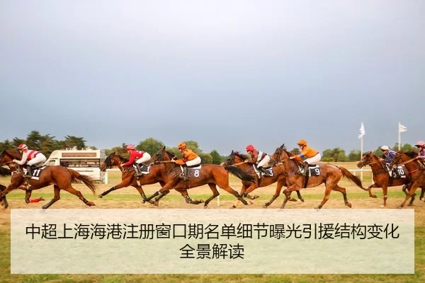 zhong-chao-shang-hai-hai-gang-zhu-ce-chuang-kou-qi-ming-dan-xi-jie-bao-guang-yin-yuan-jie-gou-bian-hua-quan-jing-jie-du-2-497.jpg